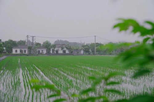 搶抓農(nóng)時促春耕 夯實基礎(chǔ)保發(fā)展——余旭峰強調(diào)扎實推進(jìn)農(nóng)業(yè)開發(fā)確保全年農(nóng)業(yè)農(nóng)村經(jīng)濟良好態(tài)勢